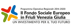 Fondo sociale Friuli-Venezia Giulia